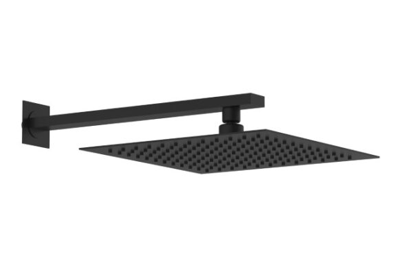 Lexus Shower Head