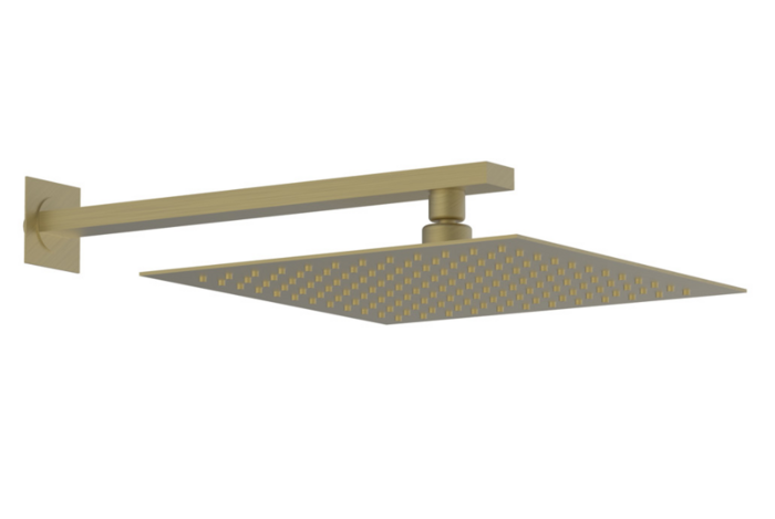 Lexus Shower Head